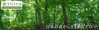 yuica.png